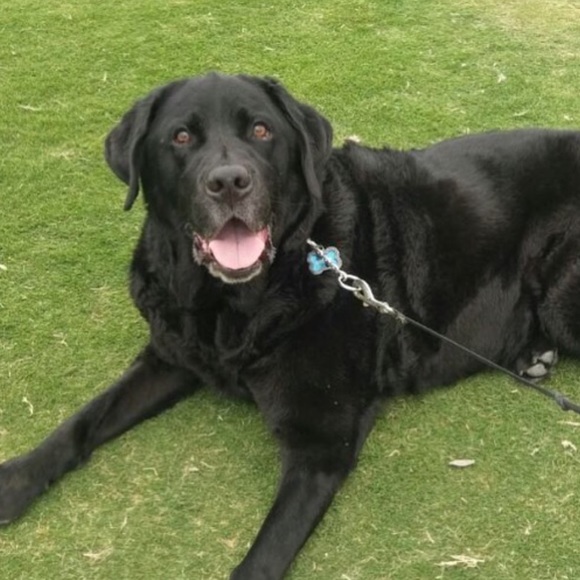 Meet your Posher, Kati - Picture 1 of 1